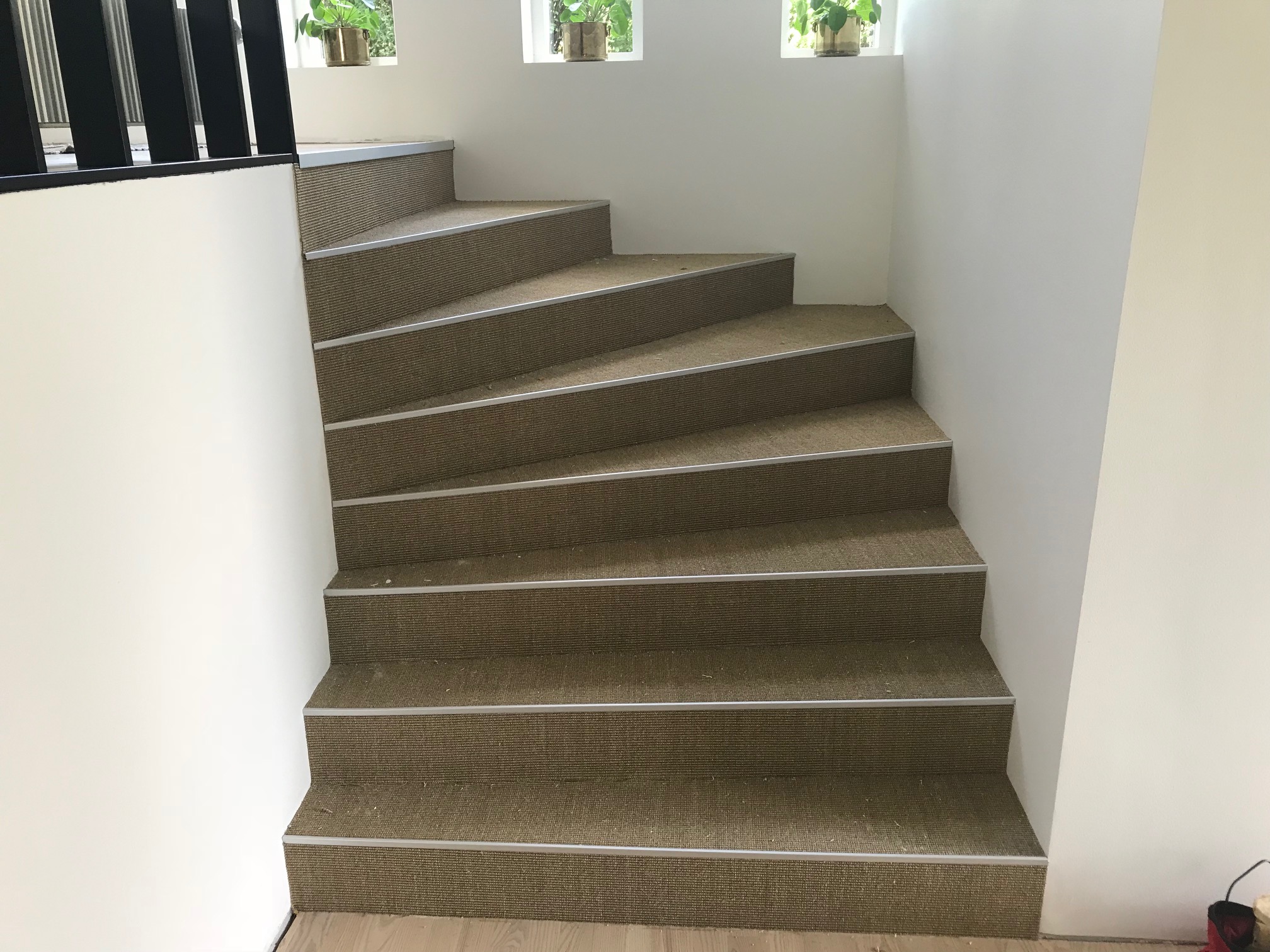 Sisal